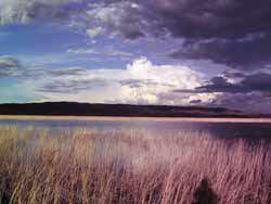 La laguna de Pitilla, Navarra